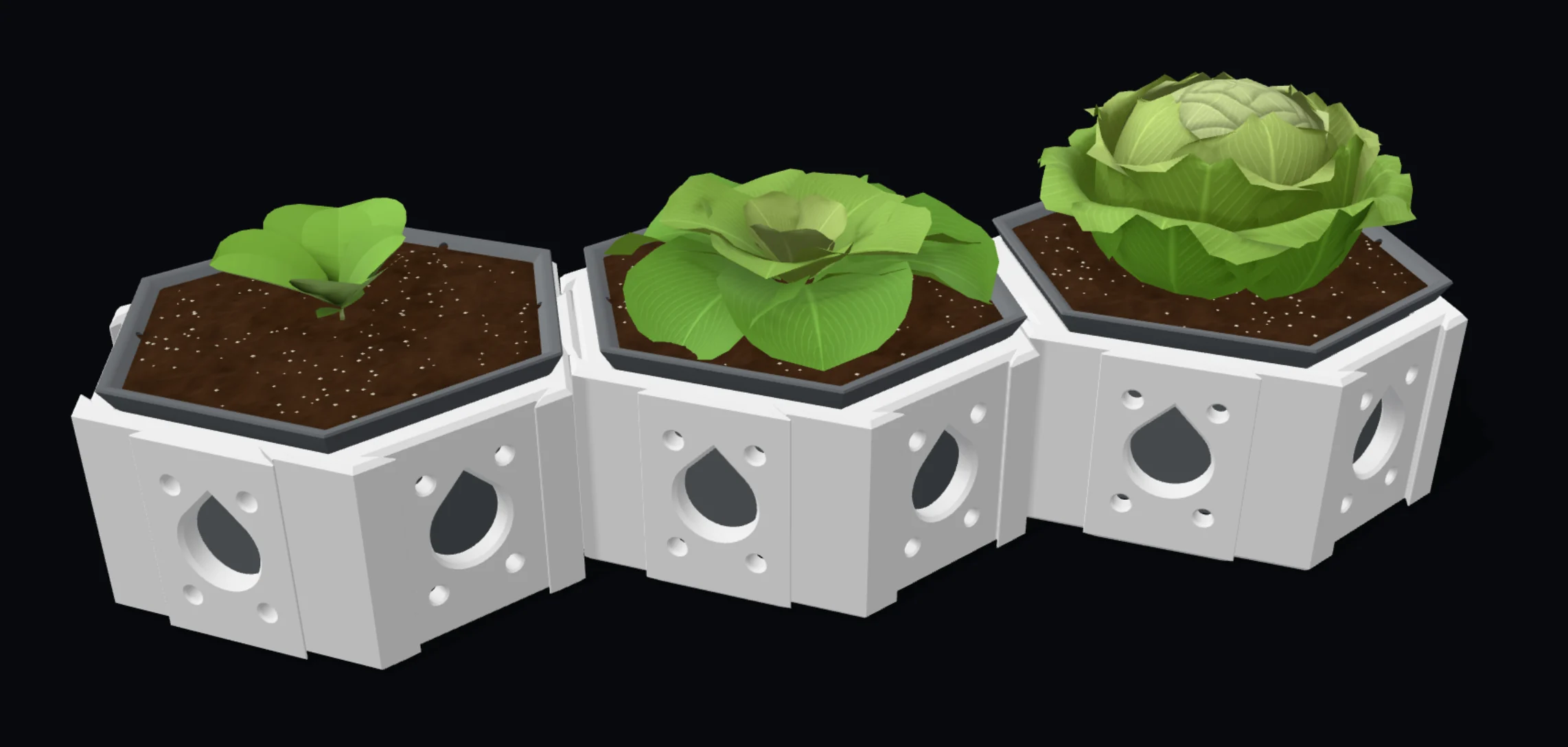 A butterhead lettuce at three growth stages in three planters: seedling, young, ready to harvest