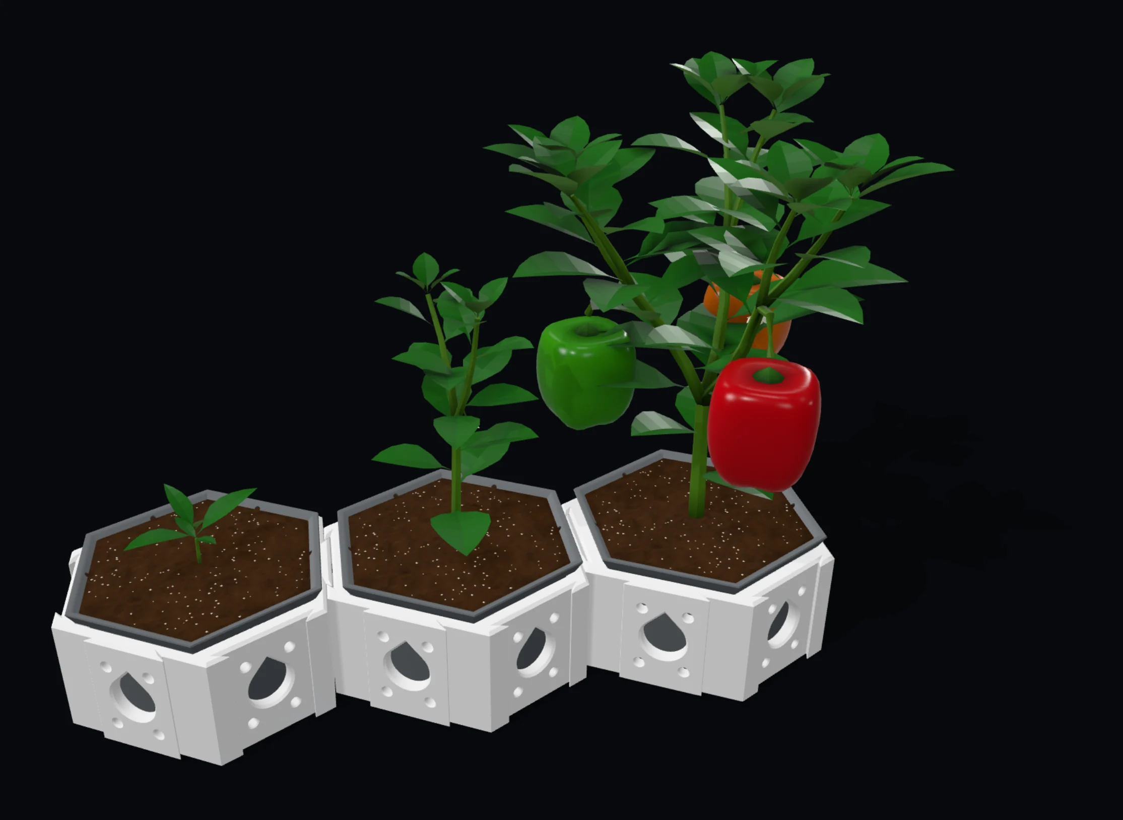 A pepper at three growth stages in three planters: seedling, young, ready to harvest